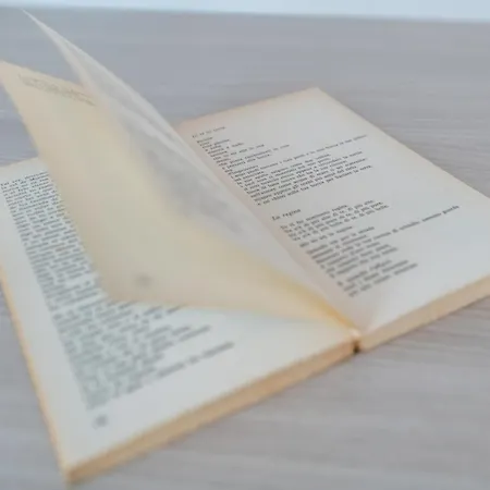 Apartmán Garden House,pisa Pisa