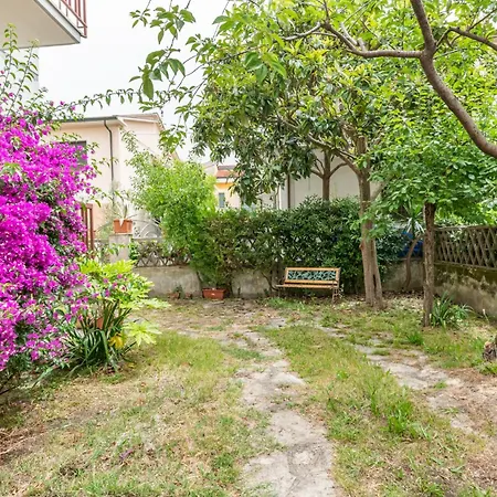 Garden House,pisa *